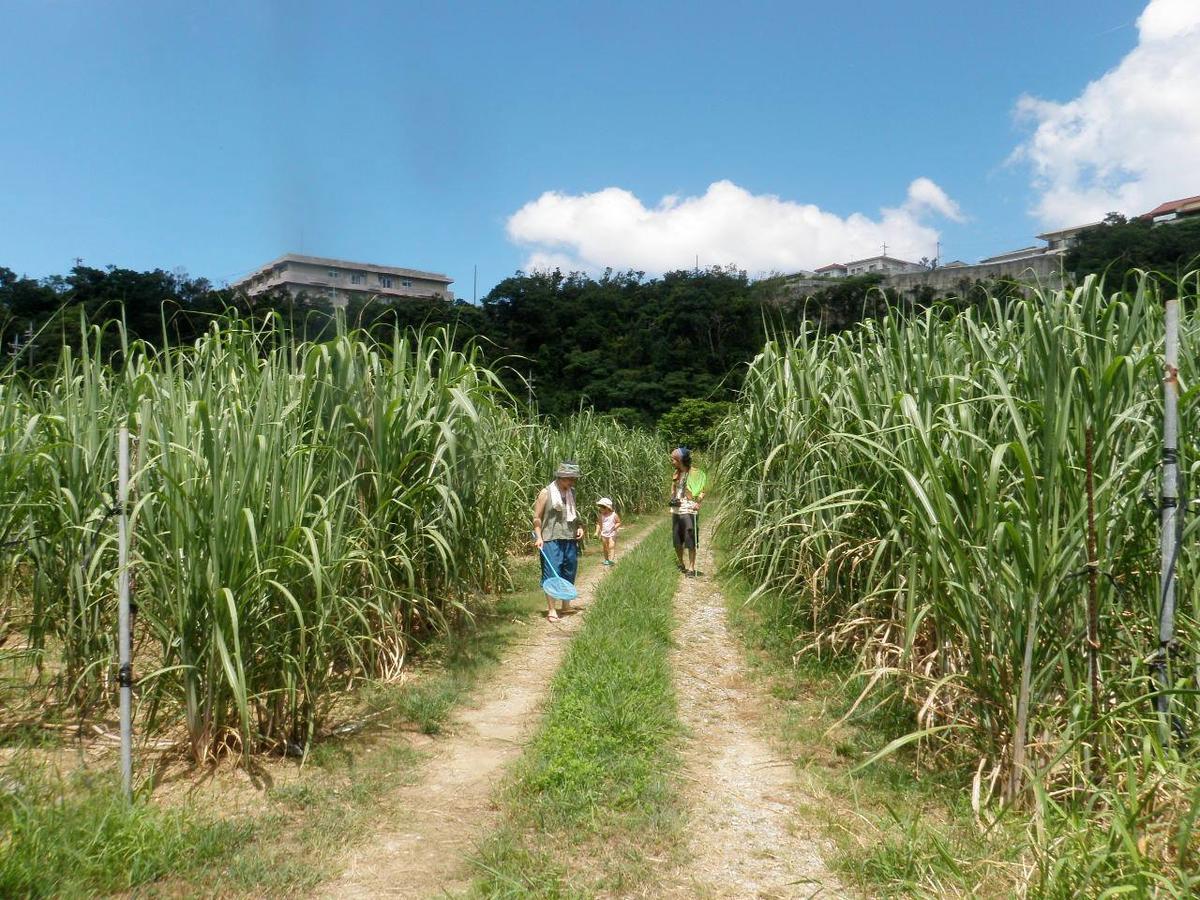 Okinawa Hostel Yanbaru Fukuro นาโงะ ภายนอก รูปภาพ