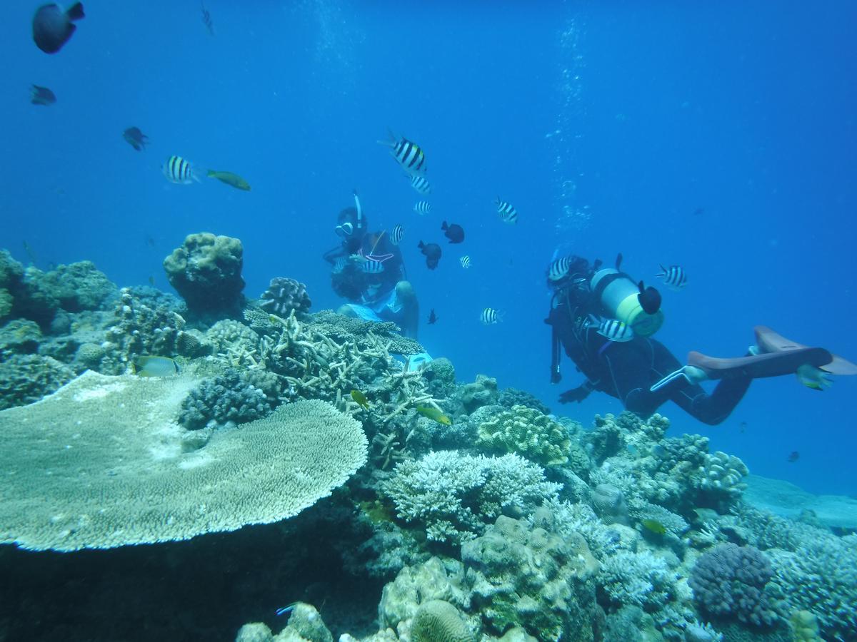Okinawa Hostel Yanbaru Fukuro นาโงะ ภายนอก รูปภาพ