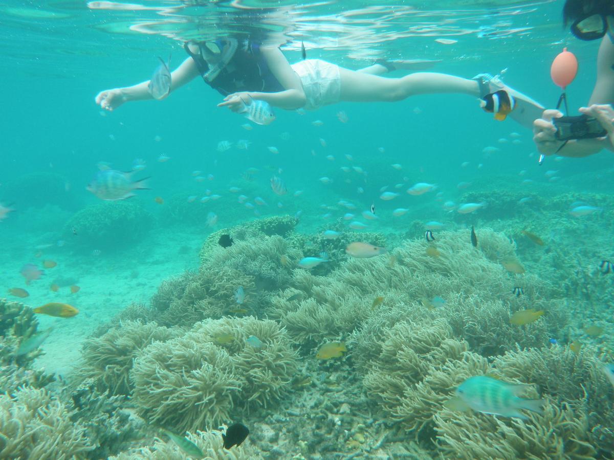 Okinawa Hostel Yanbaru Fukuro นาโงะ ภายนอก รูปภาพ
